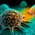 A cancer diagnosis is daunting