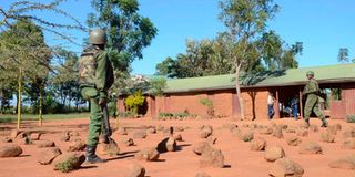 Tumaini Primary School
