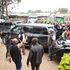 Jimi Wanjigi in Migori