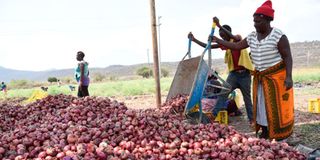 onions