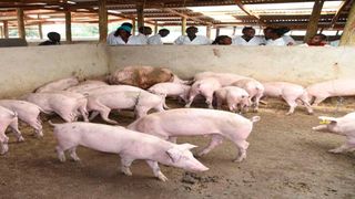 Eldoret Technical Training Institute