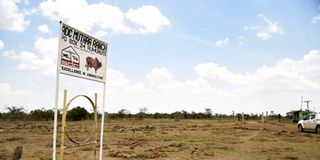 ADC Mutara Ranch in Laikipia