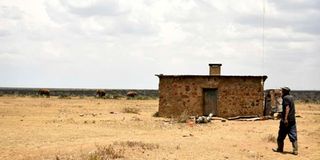 Elephants in Mutara Ranch