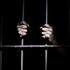 Police custody