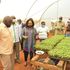 Kirinyaga Governor Anne Waiguru