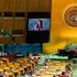 UN General Assembly