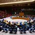 UN Security Council