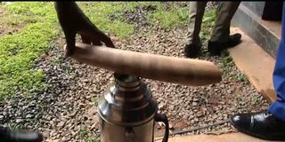 elephant tusk