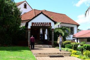Treetops Hotel