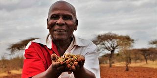 Mzee Kunyaa