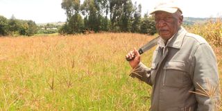 Muriithi Ndirangu