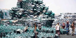 Somali charcoal