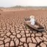 Climate change