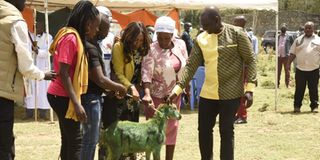 William Ruto