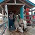 Pastoralists