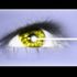Eyesight is greatly improved when your body gets regular physical activity.