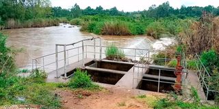 River Yala in Siaya