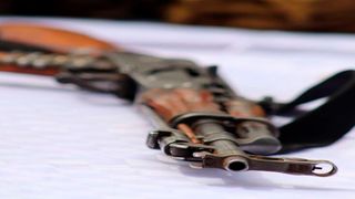 gun