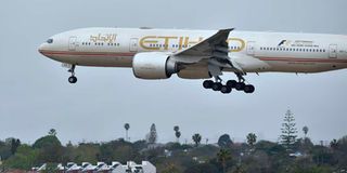 Abu Dhabi's Etihad Airways plane