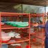 Halfan Ngowo, , a research scientist at Ifakara Health Institute in Dar es Salaam, Tanzania.