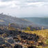 Aberdare Fire