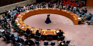UN Security Council