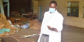 Pyrethrum Processing Company of Kenya