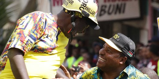 William Ruto and Ferdinard Waititu