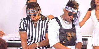 Diamond Platnumz and Rayvanny