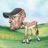 Boni Khalwale 