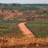 Arable land - con pastor