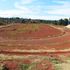 Kamariny Stadium