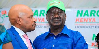 Raila Odinga and Makau Mutua
