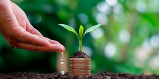 SMEs growing