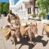 donkeys 