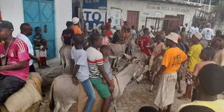 World Donkey Day