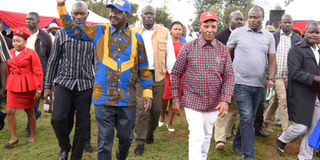 Nyandarua Governor Francis Kimemia