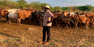 Deputy President William Ruto
