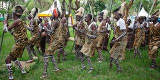 Traditional dancers