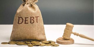 public debt