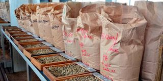 coffee beans
