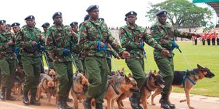 Police officers Kenya