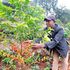  Thiriku Coffee Factory