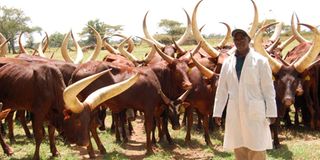 President Uhuru Kenyatta's Gicheha Farm in Nakuru