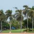 Donald Trump at Mar-A-Lago in Palm Beach
