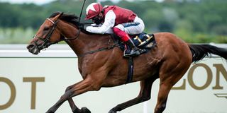 Jockey Frankie Dettori