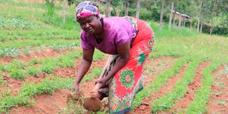 traditional vegetables