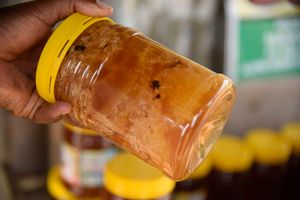 Poisonous honey