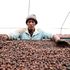Edward Mutura Wacuka, 29, a worker at Rui-Ruiru Coffee Factory.