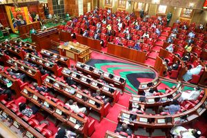 A joint sitting of parliament on May 5, 2021.